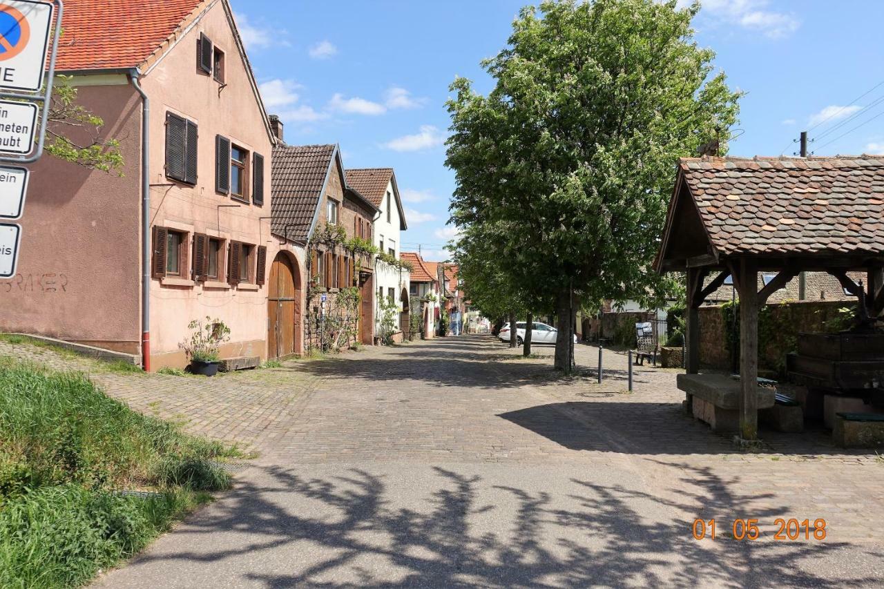 Phoenix Aus Der Asche Rhodt unter Rietburg Kültér fotó